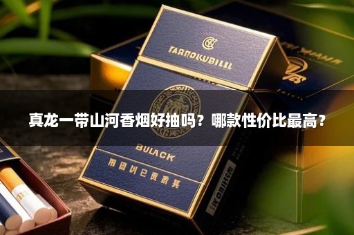 真龙一带山河香烟好抽吗？哪款性价比最高？