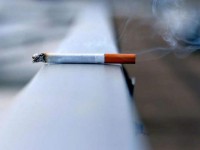 头条！香烟批发货源网“大发议论”